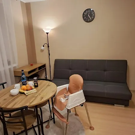 Przy Zamku Apartment