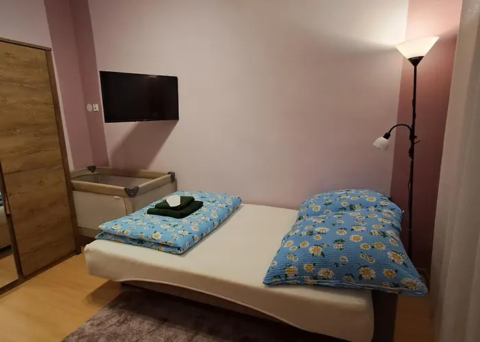 Przy Zamku Apartment *